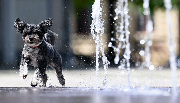 Wetter in Dresden