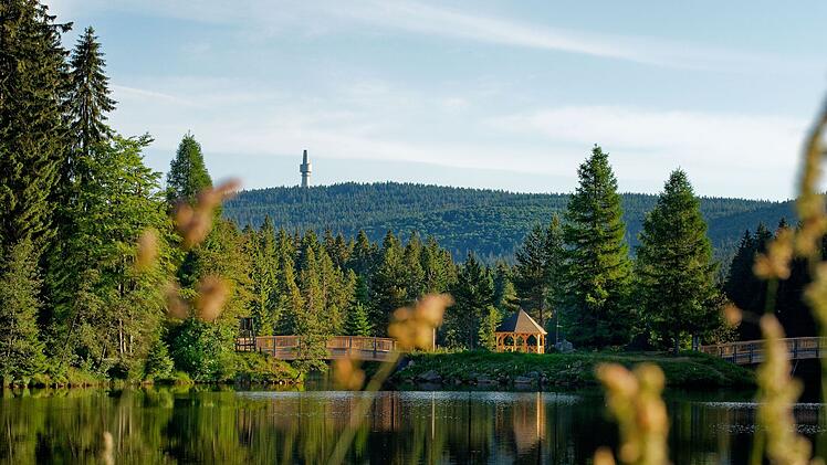 Ausflugsziel Fichtelsee: "Perfekter Ort, um den Sommer zu genie&szlig;en"
