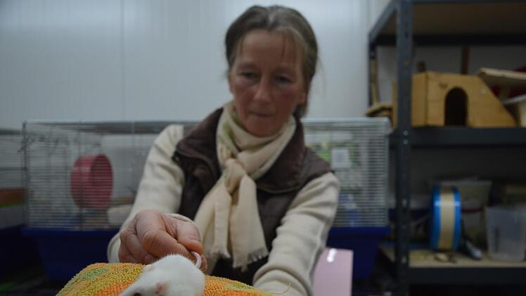Tierpflegerin Manuela Scharf zeigt eine der 103 Mäuse. Foto: Ronald Heck