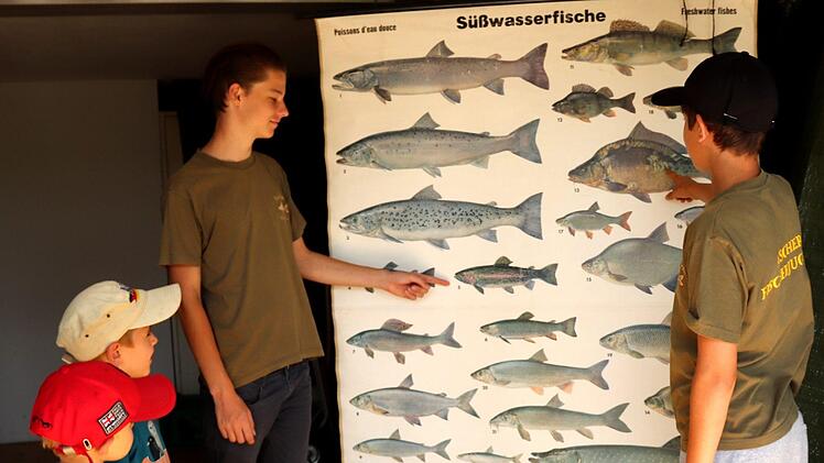 Fischkunde mit Joshua und Martin