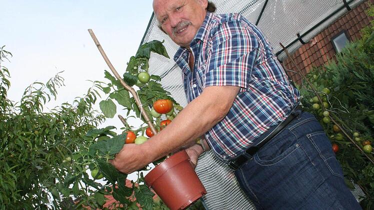 Berührungsängste zu rot und grün kennt Lorenz Baier nicht - allerdings nur, was seine Tomaten betrifft. Er will mit den Republikanern den "rechten Wählerflügel" ansprechen. Foto: Andreas Oswald