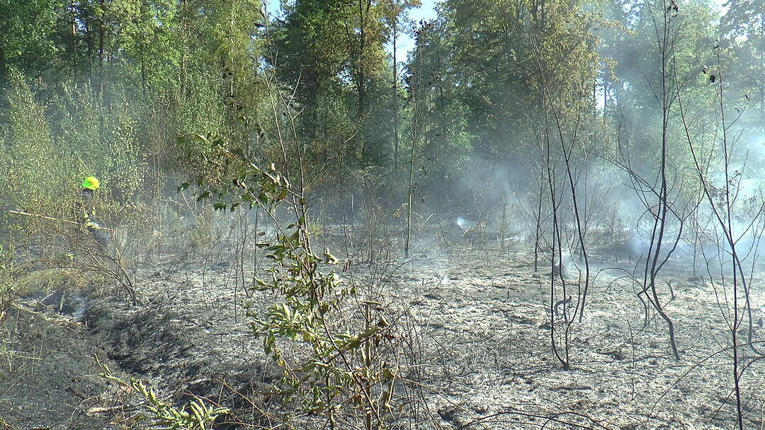 Waldbrand im Kreis Haßberge: Feuerwehr kämpft mit Großaufgebot gegen die Flammen