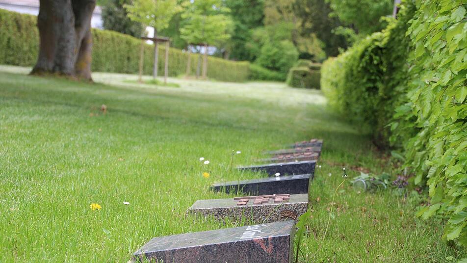 109 Urnenplätze für eine Baumbestattung gibt es auf dem Lichtenfelser Friedhof am Fuße von vier Birken. Die Gräber können mit einem Pultstein versehen werden oder anonym bleiben - dann bekommen sie keine eigene Markierung. Fotos: Mirjam Stumpf109 Urnenplätze für eine Baumbestattung gibt es auf dem Lichtenfelser Friedhof am Fuße von vier Birken. Die Gräber können mit einem Pultstein versehen werden oder anonym bleiben - dann bekommen sie keine eigene Markierung. Fotos: Mirjam Stumpf
