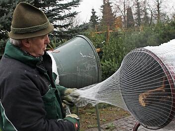 Das Verpacken der großen Bäume kann manchmal ganz schön anstrengend sein. Dann hilft nur Muskelkraft und kräftiges Ziehen, um die stacheligen Weihnachtsboten in das Netz zu bringen. Fotos: Manuel Stark