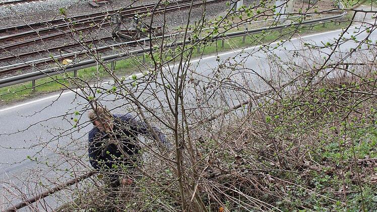 Kaum erkennen kann man die zweite Geschützstellung bei Voitländer.  Foto: Friedwald Schedel
