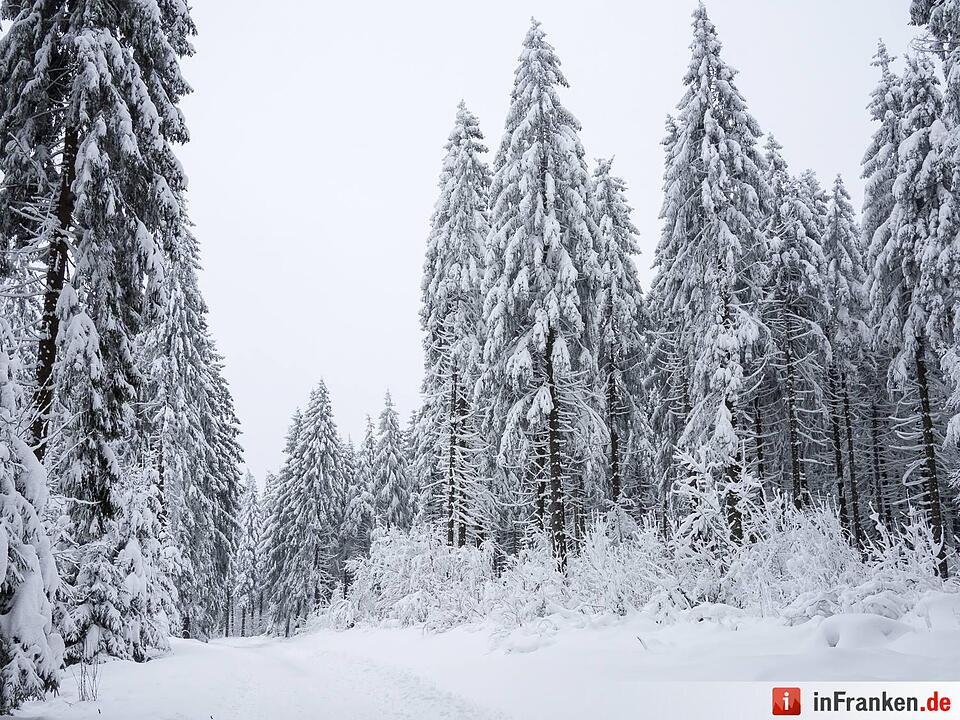 Steinbach am Wald, Kreis Kronach
