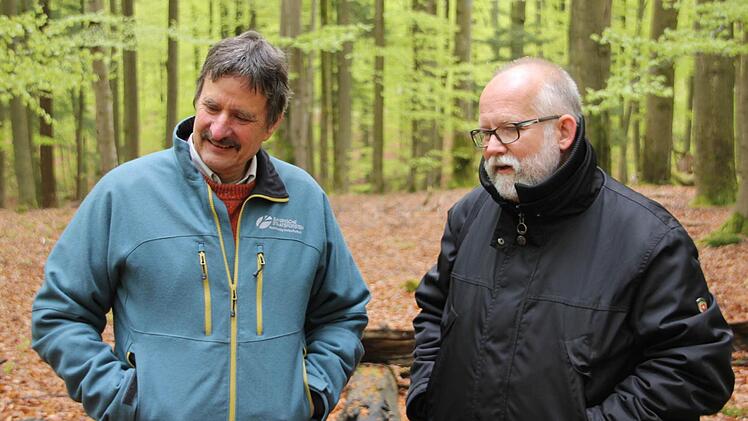 UIrich Mergner (links) vom Forstbetrieb Ebrach und Amphibienforscher Mark-Oliver Rödel im Wald bei Fabrikschleichach. Dort befindet sich eine von hunderten naturbelassenen Trittsteinflächen im Steigerwald.