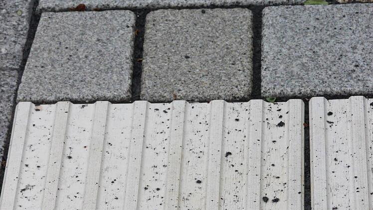 Für die Sehbehinderten ist der Gehsteigbelag (unten) an den Übergängen anders gestaltet. Er hat eine andere Oberflächenstruktur, die sich ertasten lässt.  Foto: Friedwald Schedel