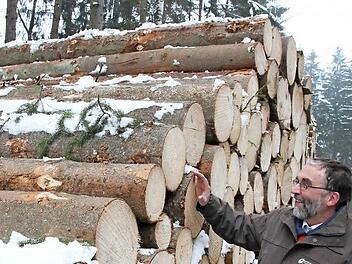 Die Holzernte im Frankenwald ist für Forstbetriebsleiter Peter Hagemann sehr wichtig, denn sie stellt den Motor für den Waldumbau dar.  Foto: Friedwald Schedel