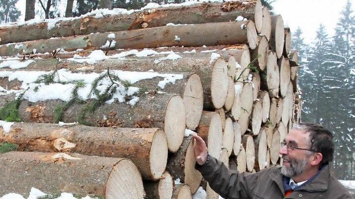 Die Holzernte im Frankenwald ist für Forstbetriebsleiter Peter Hagemann sehr wichtig, denn sie stellt den Motor für den Waldumbau dar.  Foto: Friedwald Schedel
