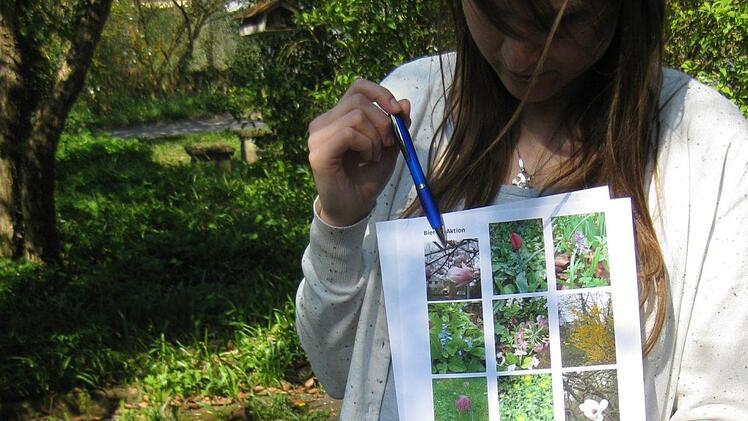 Bienenprojekt im Novizengarten.Sabine Scheuble