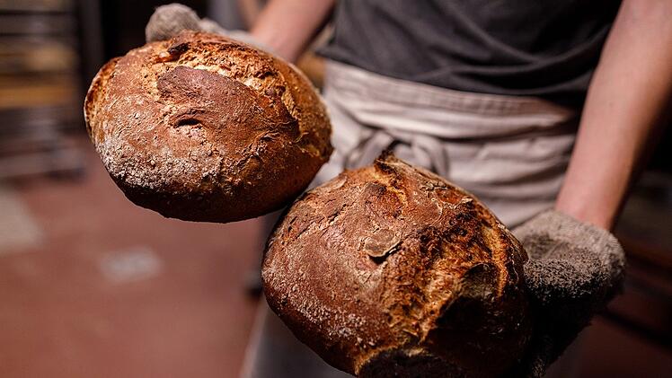 Brot aus dem Gefrierfach - wie frisch vom Bäcker!