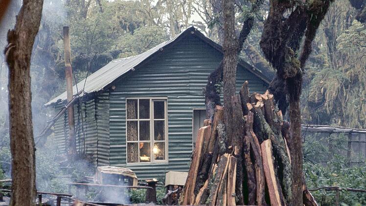 Eine einsame Freundin der Gorillas: Dian Fossey in ihrer H&uuml;tte im Karisoke-Forschungszentrum, Ruanda.