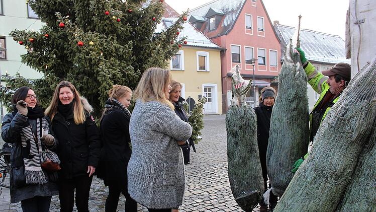 Christbaumvergabe auf dem Höchstadter Marktplatz. Die Bäume sollen ab 8. Dezember die Innenstadt zum Strahlen bringen .