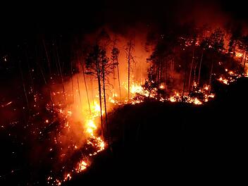 Waldbrand