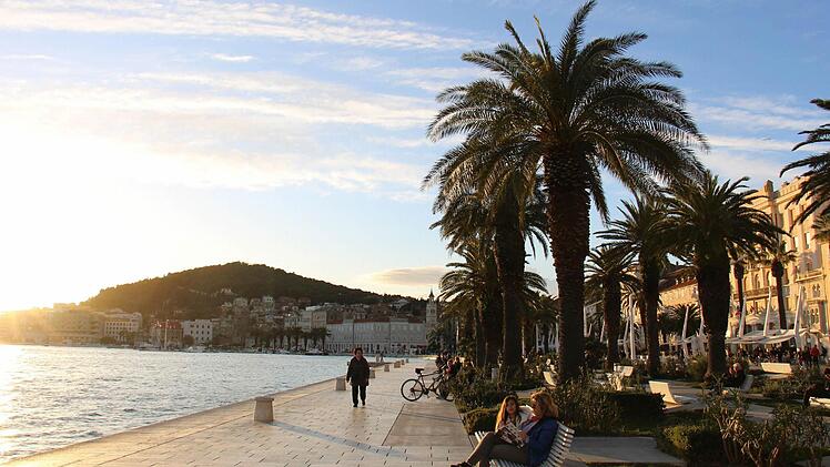Studieren unter Palmen in Split: nicht das Schlechteste für zukünftige Humanmediziner Foto: Birgit Schwabe