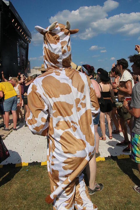 Halbnackt oder im Kostüm: Stimmung bei RIP 2017