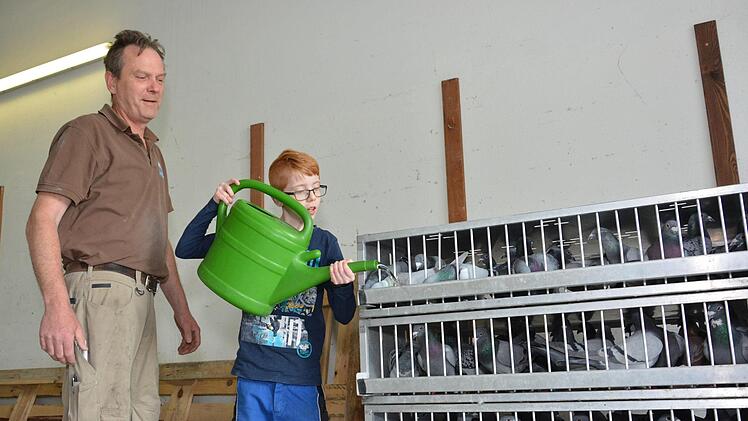 Das Wohl der Brieftauben steht f&uuml;r die Z&uuml;chter im Vordergrund. Regelm&auml;&szlig;ig werden sie bei der Fahrt zu den Preisfl&uuml;gen getr&auml;nkt, hier &uuml;bernehmen das   Klaus Kr&auml;mer (links) und Lukas B&auml;umker.  Foto: Bj&ouml;rn Hein