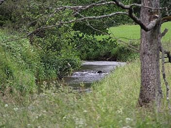Das Schondratal soll nicht unter Südlink leiden.  Foto: Gerd Schaar