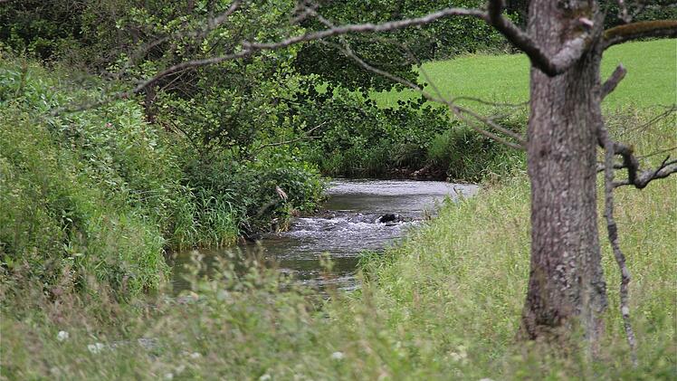 Das Schondratal soll nicht unter Südlink leiden.  Foto: Gerd Schaar