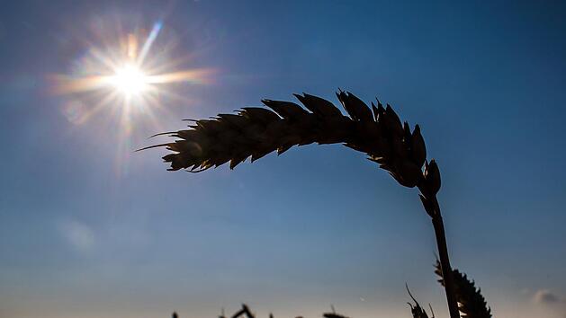 In Teilen Frankens gibt es amtliche Warnungen vor Hitze. Symbolfoto: Federico Gambarini/dpa