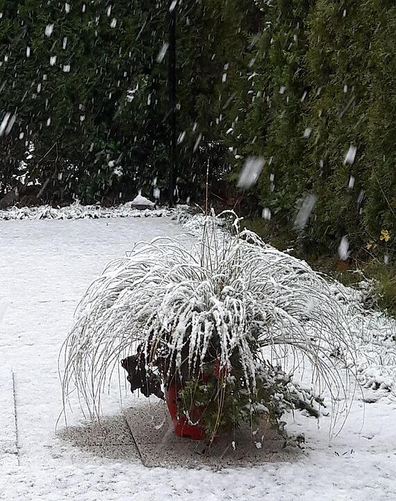 Leserbilder: Der erste Schnee in Franken