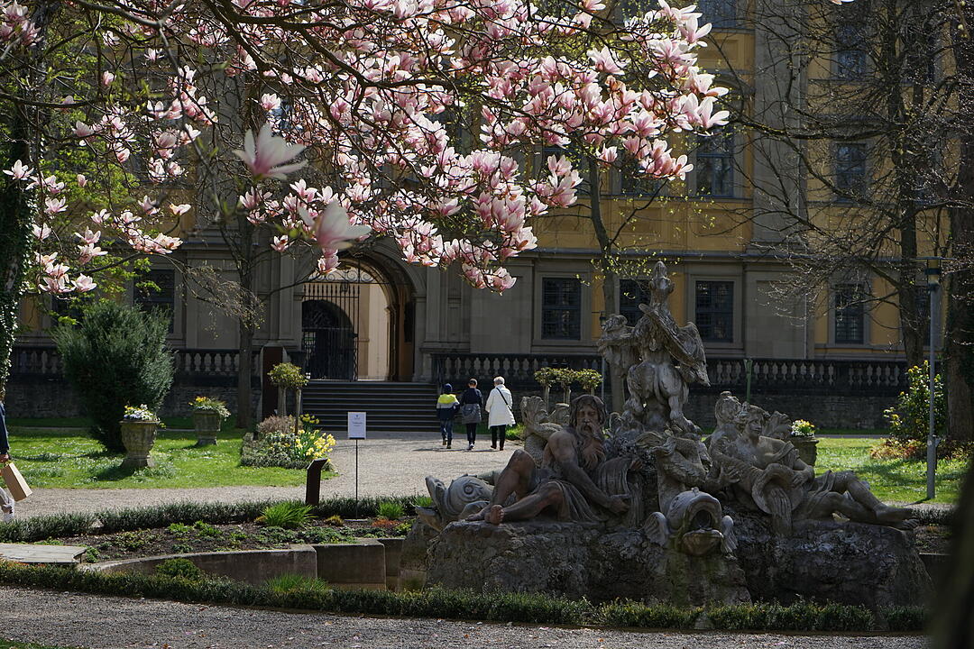 Blühendes Würzburg