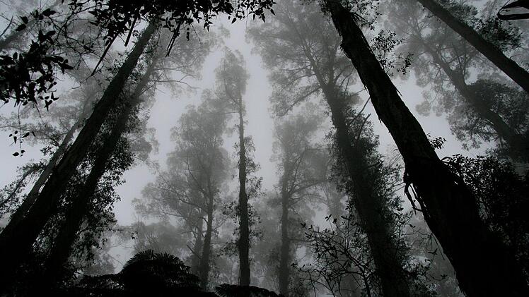 M&auml;dchen verschwunden: Suchaktion in Markt Erlbach gestartet