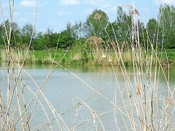 Die Teichwirtschaft hatte in Franken nicht immer die gro&szlig;e Bedeutung, die sie heute hat. Foto: privat