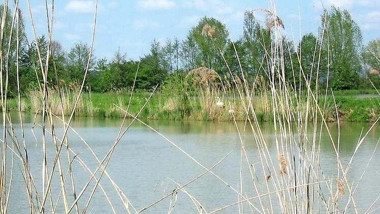 Die Teichwirtschaft hatte in Franken nicht immer die gro&szlig;e Bedeutung, die sie heute hat. Foto: privat