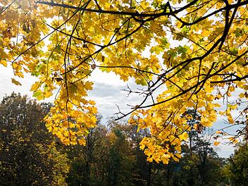 Herbstwetter in Oberfranken