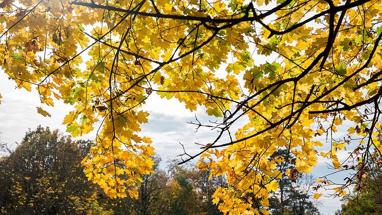 Herbstwetter in Oberfranken