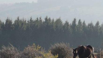 Das Panorama des Himmeldunkbergs. Foto: Marion Eckert