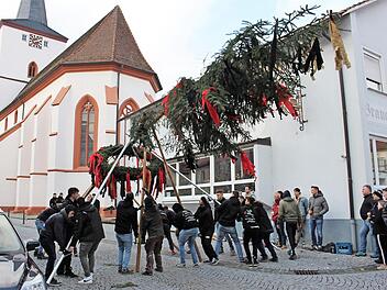 Der Baum wurde vor dem Aufstellen noch einmal gekürzt. Foto: Seeger