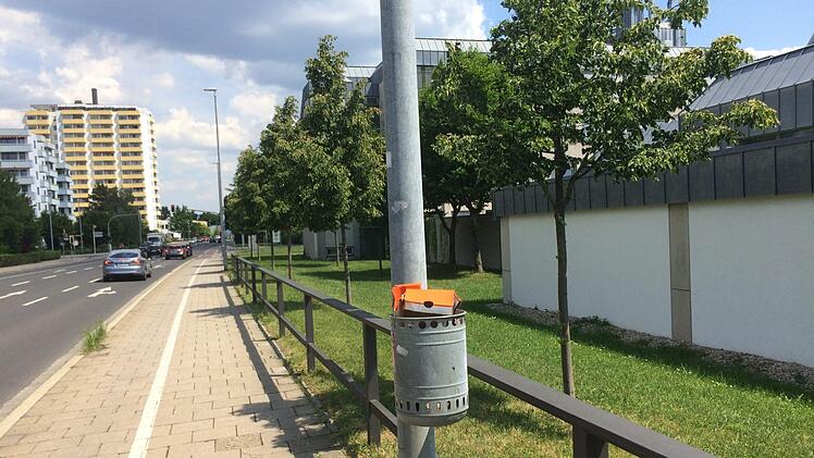 Auf dem Weg von Bamberg-Ost in die Innenstadt. Foto: Frank Jung