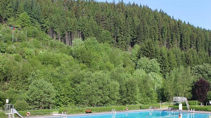 Das Ludwigsstädter Schwimmbad zählt mit zu den ältesten im Landkreis. Es muss dringend saniert werden. Jetzt hoffen die Stadträte darauf, im neuen Bundesprogramm "Sanierung kommunaler Einrichtungen in den Bereichen Sport, Jugend und Kultur" Berücksichtigung zu finden. Foto: Veronika Schadeck