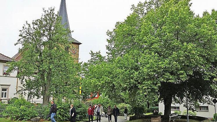 Markante Mittelpunkt in Kirchschletten: die Dorflinde. Foto: Johannes Michel