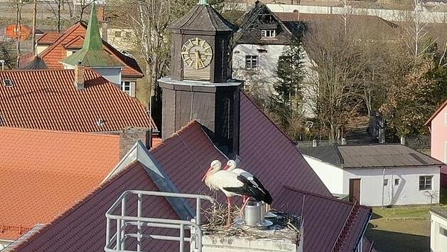 Die Mainleuser St&ouml;rche mussten umziehen. Ob sie den neuen Platz nur ein paar Meter weiter auf dem Schuldach angenommen haben? Foto: Markt Mainleus