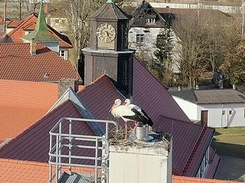Die Mainleuser Störche mussten umziehen. Ob sie den neuen Platz nur ein paar Meter weiter auf dem Schuldach angenommen haben? Foto: Markt Mainleus