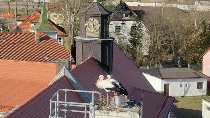 Die Mainleuser Störche mussten umziehen. Ob sie den neuen Platz nur ein paar Meter weiter auf dem Schuldach angenommen haben? Foto: Markt Mainleus