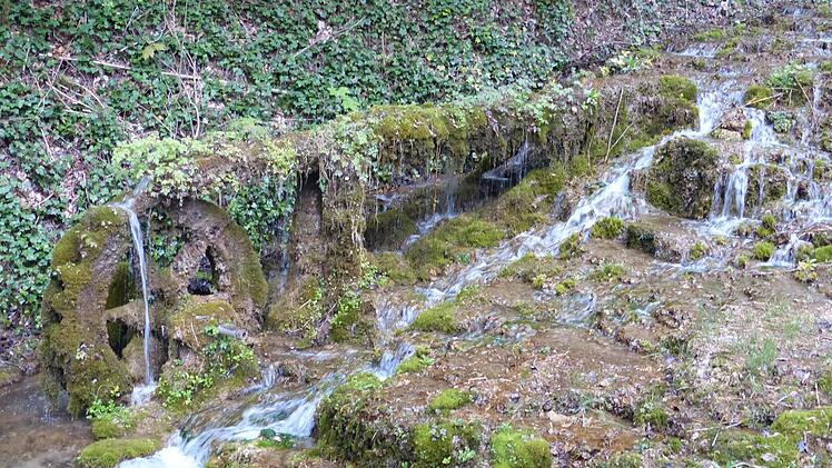 Das versteinerte WasserradFoto: Pauline Lindner