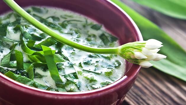 Tödliche "Bärlauchsuppe"