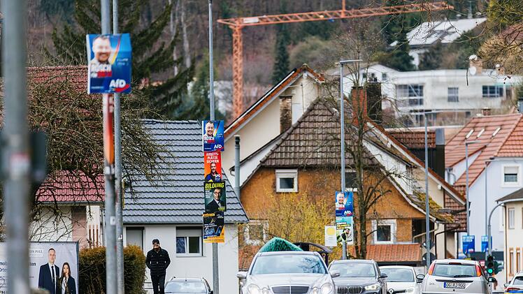 Wahlplakate in Lahr
