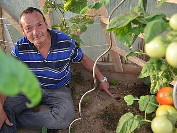 Günther Wolf zeigt eines der Mauslöcher im Gewächshaus. Hier hat er versucht, die Nager mit Wasser zu vertreiben. Foto: K.athrin Kupka-Hahn