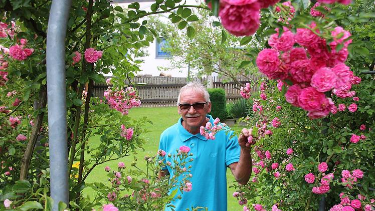 31 Rosensorten blühen im Garten von Schmitts in Oberthulba.Ralf Ruppert