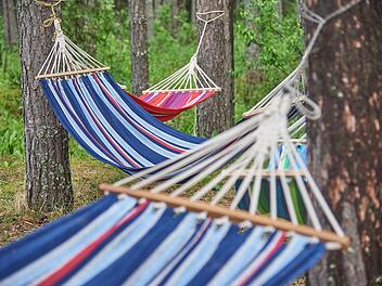 Erlangen: Stadtteilfest am W&uuml;rzburger Ring findet Samstag statt - Tr&ouml;delmarkt, Live-Musik und Co.