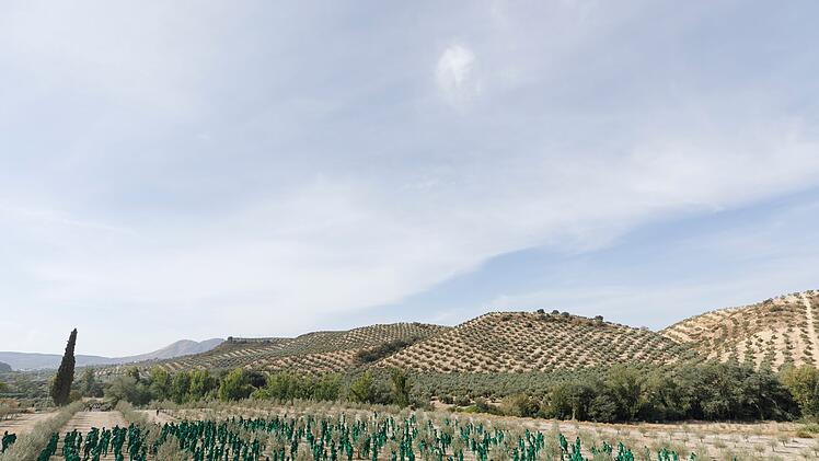 Spencer Tunick mit Kunstinstallation in Andalusien