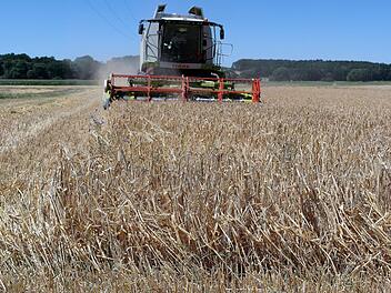 Schon am vergangenen Wochenende hat BBV-Kreisobmann Wilfried L&ouml;winger seinen M&auml;hdrescher gestartet. Normalerweise passiert das erst Mitte/Ende Juli. "Wenn es so trocken bleibt, werden wir heuer mit der Getreideernte so bald fertig wie noch nie."Peter M&uuml;ller