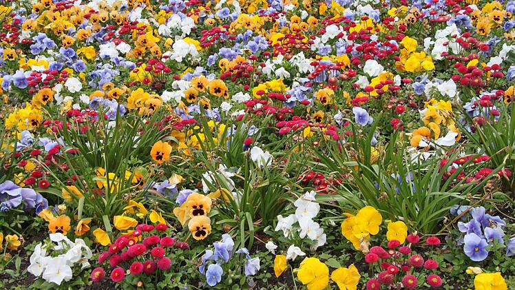Impressionen aus den Kulmbacher Stadtparks Foto: Jürgen Gärtner