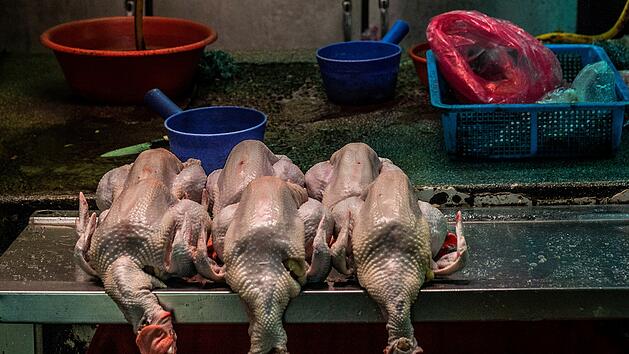Aldi und Lidl: Studie deckt Fleisch-Skandal auf - das steckt wirklich im Discounter-Fleisch